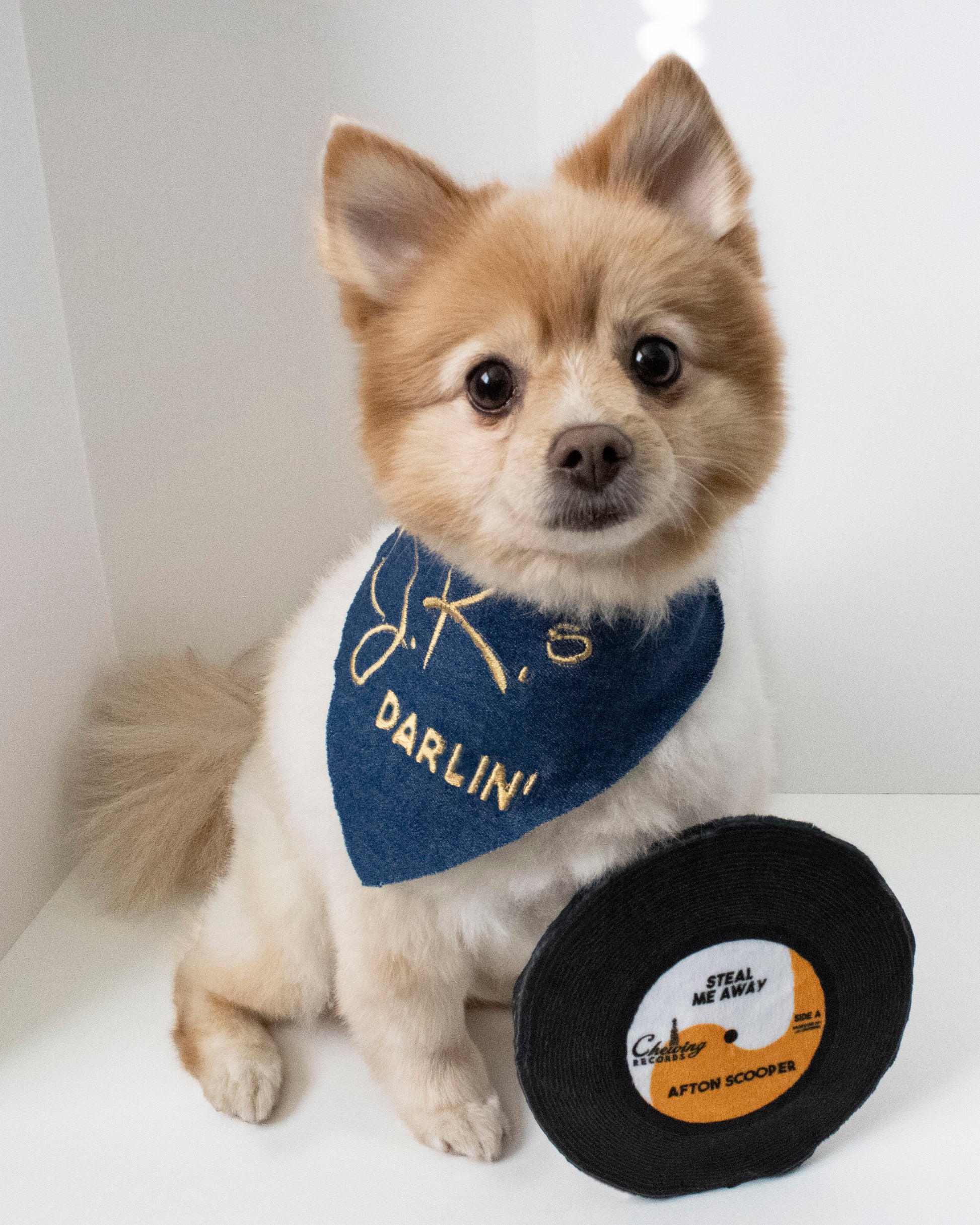 Dog Posing with Single Afton Scooper LP Record Plush Dog Toy of Dallas TV Series