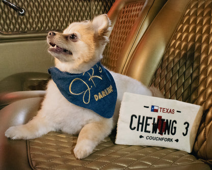 Dog Posing with Single Ewing License Plate Plush Dog Toy of Dallas TV Series