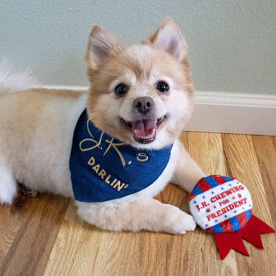 Dog Posing with Election Campaign Button Dog Toy with JR Chewing For President of Dallas TV Series