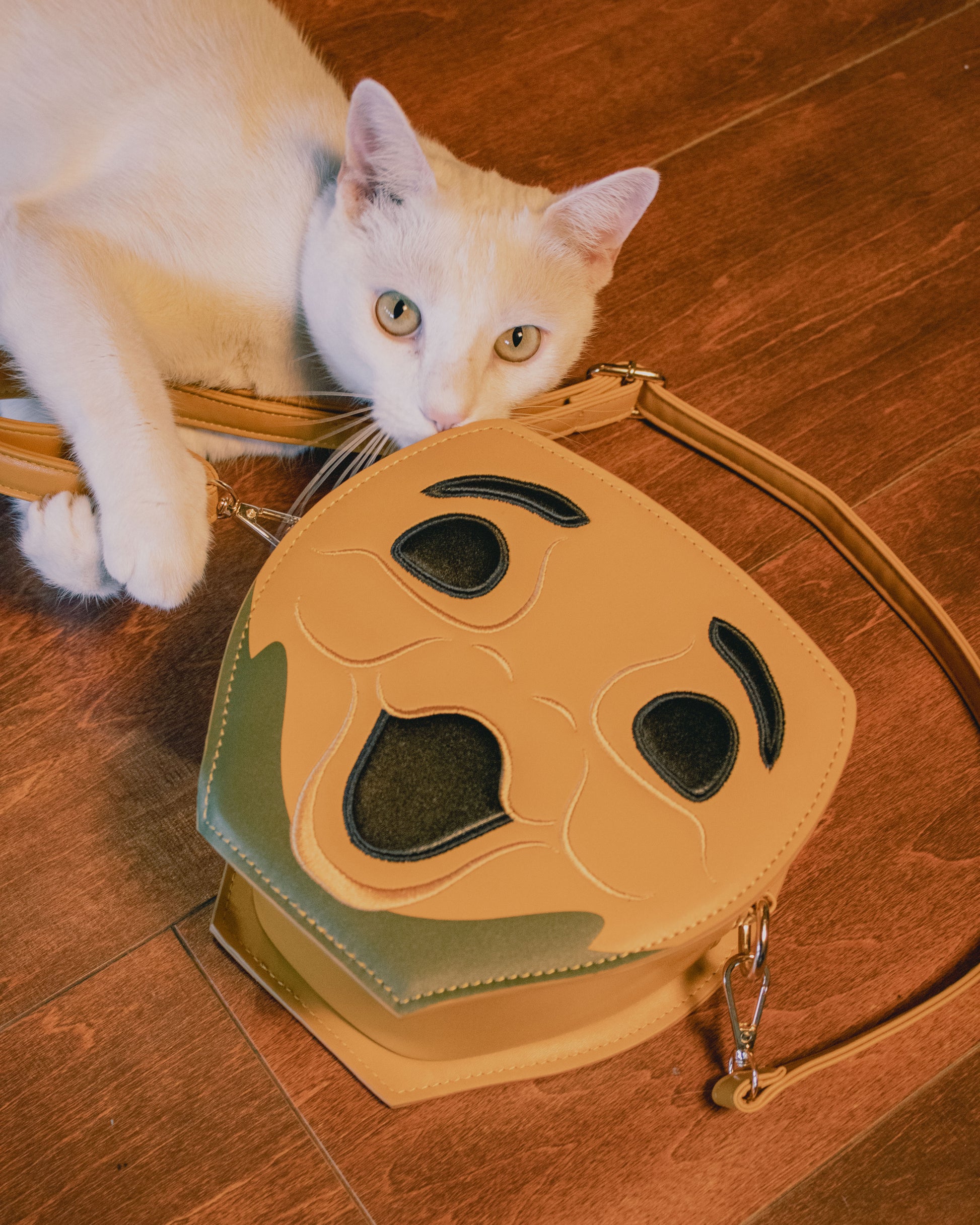 Cat Posing with Novelty Purse in the Shape of a Pumpkin Inspired by Disney's Carousel of Progress